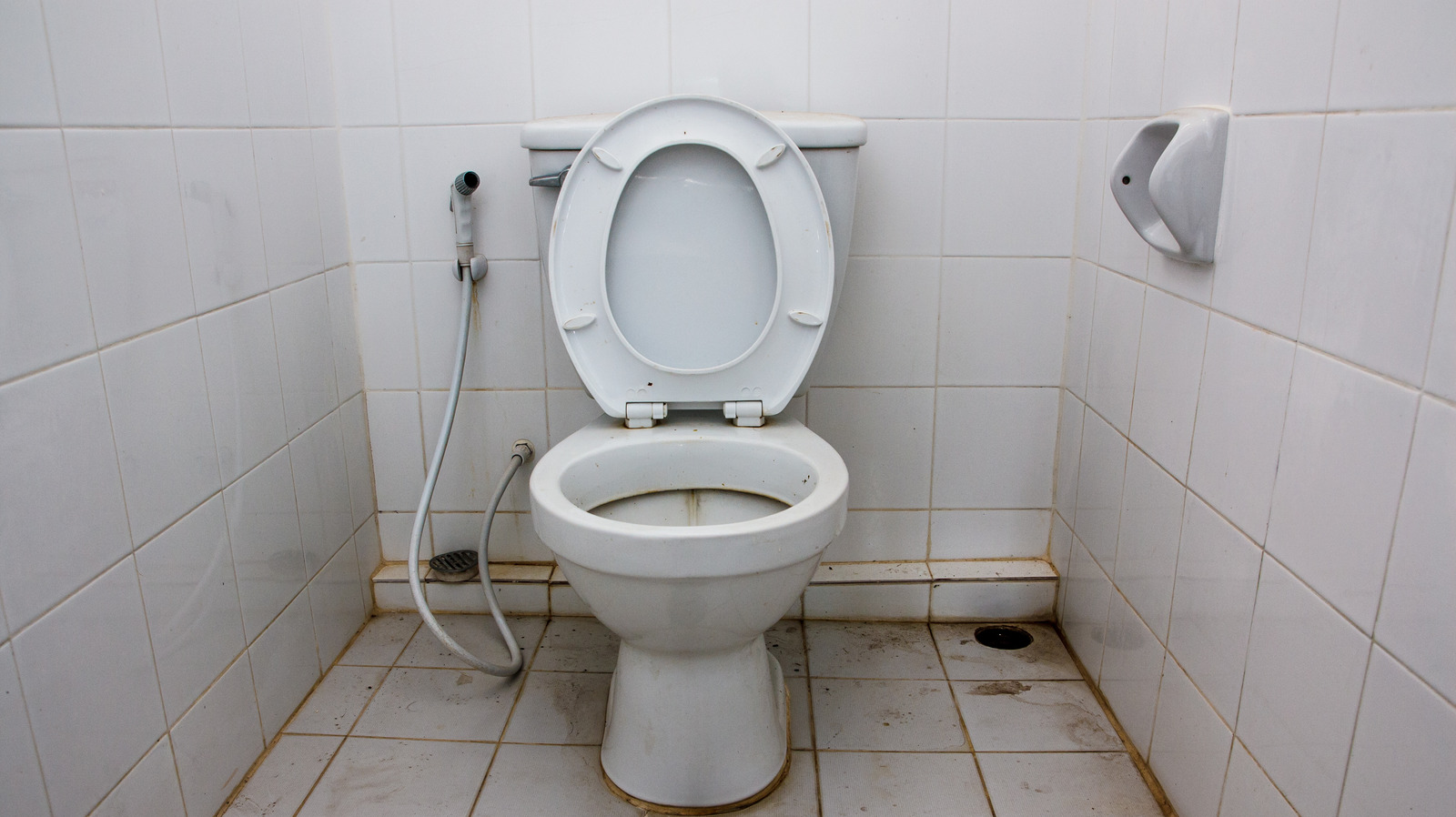 Tuvalet Tamiri Öncesi - Menekşe Su Tesisat